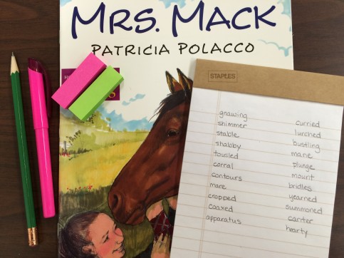 Mrs Mack Vocabulary